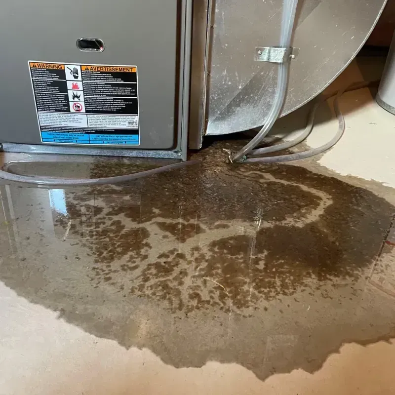 Appliance Leak Cleanup in Largo, FL